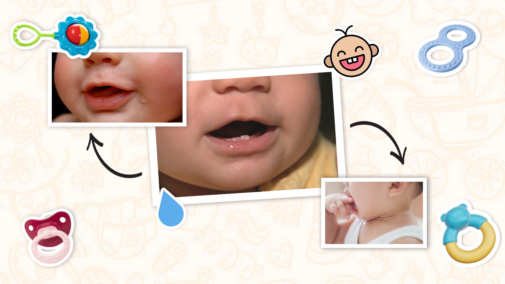 What’s Going On During Teething?