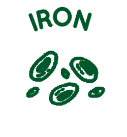 Iron