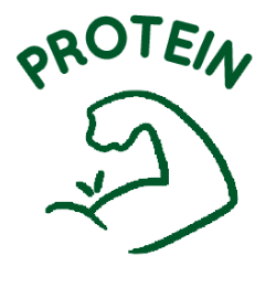 Protein