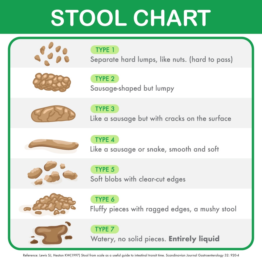 Stool Chart