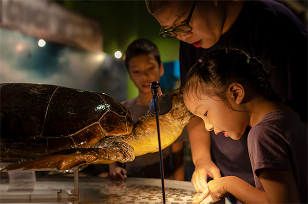 A little Asian girl looking at an exhibit with her family in a museum.