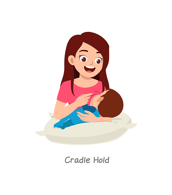 A vector image of the cradle hold, one of five breastfeeding positions.