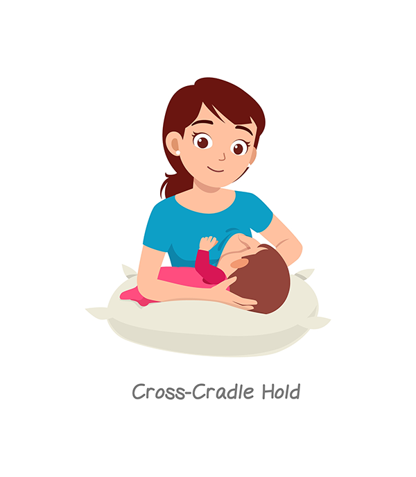 A vector image of the cross-cradle hold, one of five breastfeeding positions.