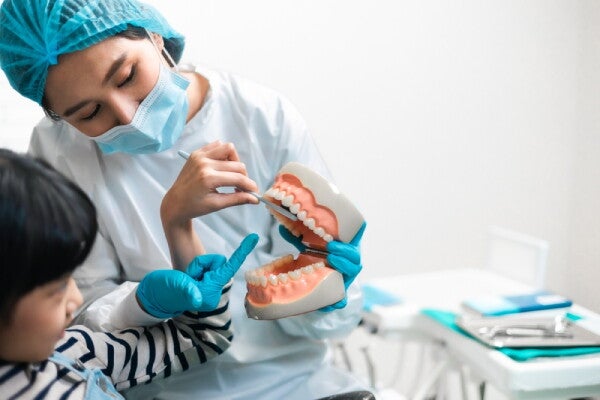 An Asian dentist shows a young child a mold of teeth and gums in the dental office.