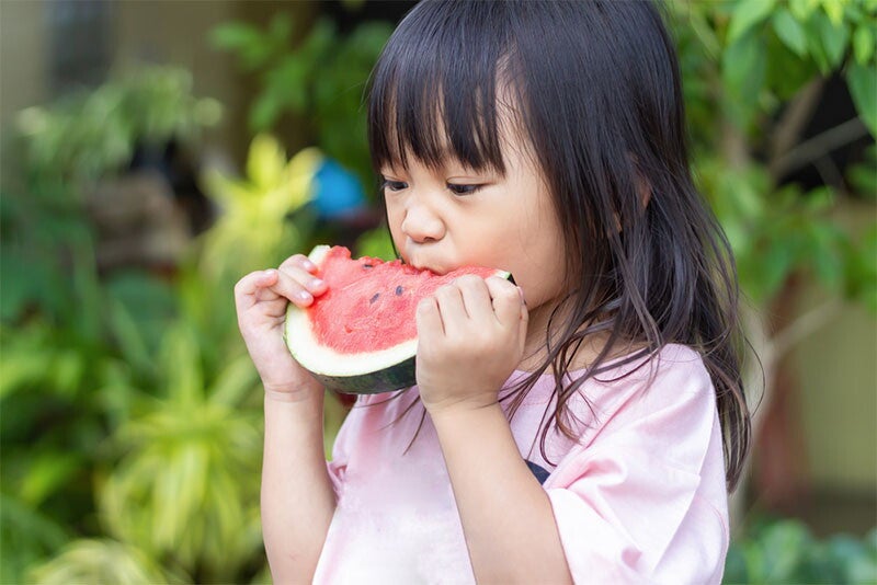 Asian female preschooler eats a slice of prebiotic-rich watermelon.