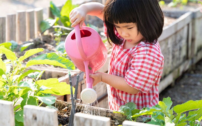 Asian girl pouring water onto plant using a watering can