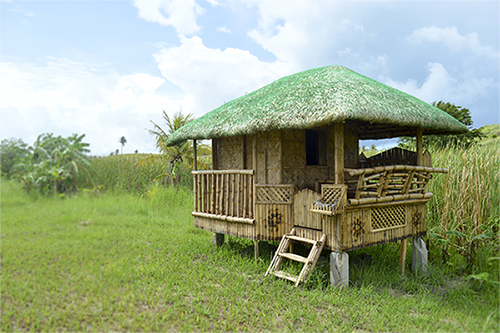 Bahay kubo in a field.