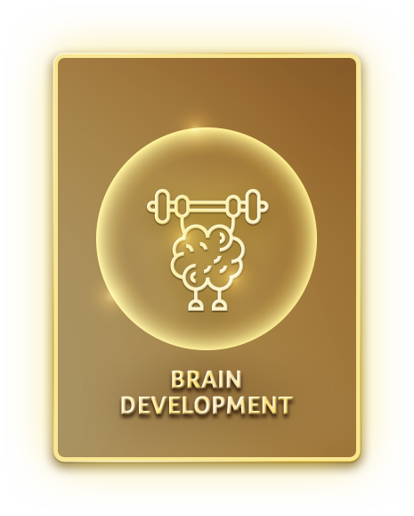 Brain Development