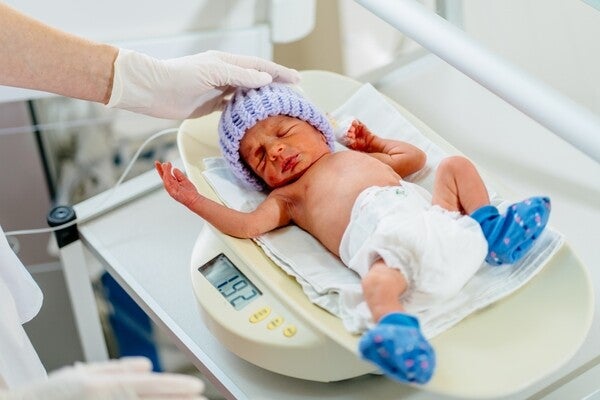 Unrecognizable nurse weighing a premature baby in clinic.