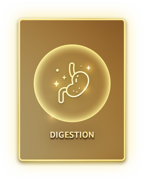 Digestion