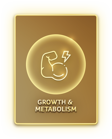 growth and metabolism