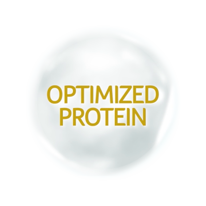 Optimized protein