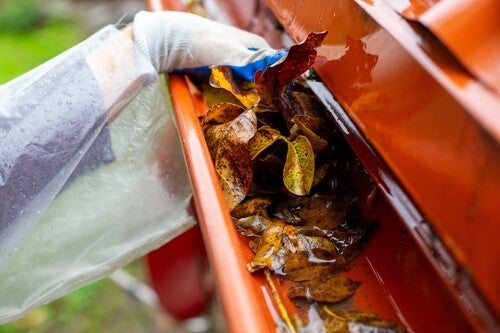 Photo of a hand wearing gloves removing wet leaves from a red roof gutter during the rainy season