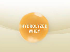 Partially Hydrolyzed Whey Protein