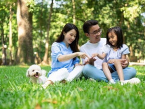 Asian couple with their dog play with their daughter outdoors