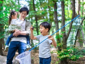 Asian preschooler catches an insect at a park with his dad who's carrying his sister behind him