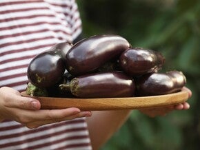 Close-up shot of hands holding a tray of eggplants for pregnant moms.