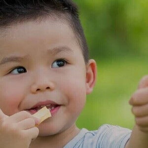 18-24months-1920x560.jpg 18-24months-1920x560.jpg
