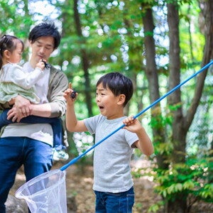 Asian preschooler catches an insect at a park with his dad who's carrying his sister behind him Asian preschooler catches an insect at a park with his dad who's carrying his sister behind him