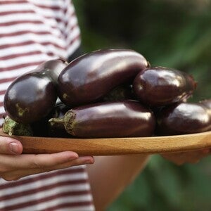 Close-up shot of hands holding a tray of eggplants for pregnant moms.