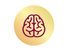 Brain Development