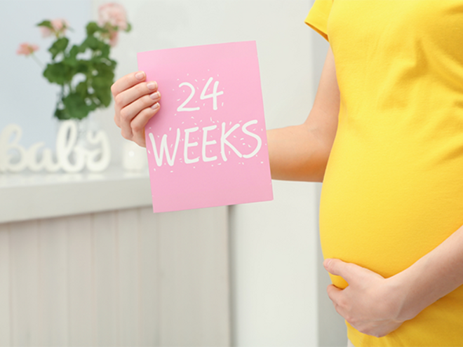 A cropped photo of 24 weeks pregnant Asian woman holding a card with the text 24 WEEKS near her belly A cropped photo of 24 weeks pregnant Asian woman holding a card with the text 24 WEEKS near her belly