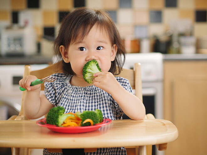 5 of The Best Brain Nutrition Tips for Your 1 Year Old’s Developing Brain 5 of The Best Brain Nutrition Tips for Your 1 Year Old’s Developing Brain