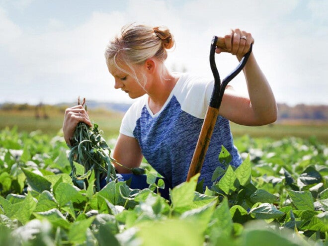 Tracing Produce to its Roots