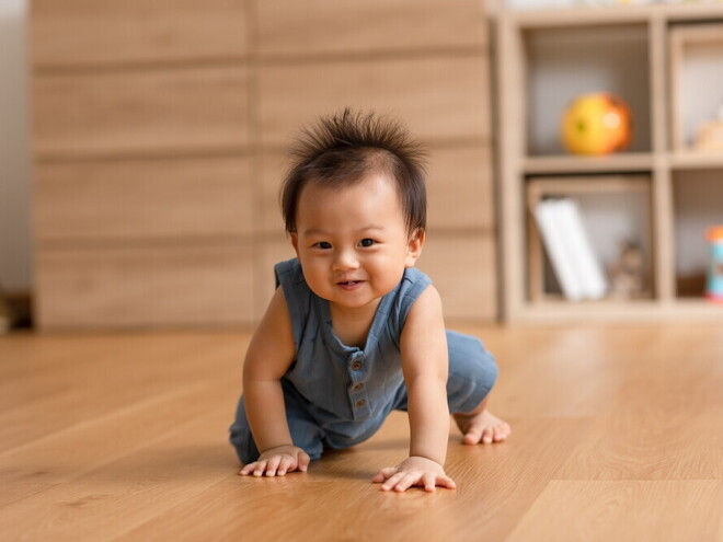 Healthy Asian baby crawl on their hands and knees on wooden floor.
