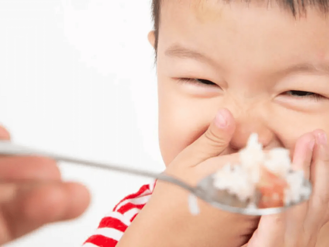 Why You Shouldn’t Force Picky Eaters – And What Works Better Why You Shouldn’t Force Picky Eaters – And What Works Better