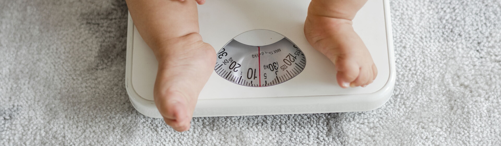 Weight Scale Weight Scale