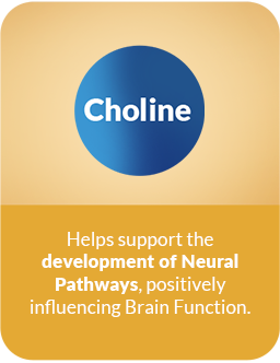 Choline Choline