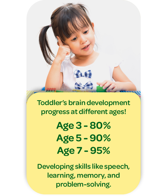 Toddler’s brain development progress at different ages! Age 3 - 80% Age 5 - 90% Age 7 - 95% Developing skills like speech, learning, memory, and problem-solving. Toddler’s brain development progress at different ages! Age 3 - 80% Age 5 - 90% Age 7 - 95% Developing skills like speech, learning, memory, and problem-solving.