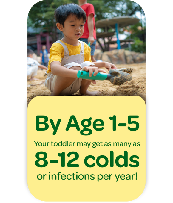 By Age 1-5 Your toddler may get as many as 8-12 colds or infections per year! By Age 1-5 Your toddler may get as many as 8-12 colds or infections per year!