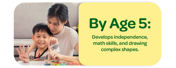 By Age 5: Develops independence, math skills, and drawing complex shapes. By Age 5: Develops independence, math skills, and drawing complex shapes.