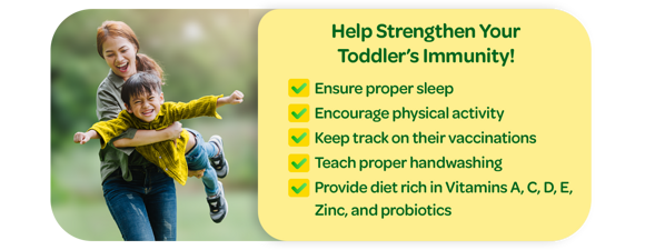 Help Strengthen Your Toddler’s Immunity! Help Strengthen Your Toddler’s Immunity!