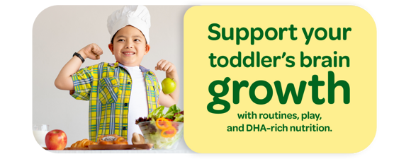 Support your toddler’s brain growth with routines, play, and DHA-rich nutrition. Support your toddler’s brain growth with routines, play, and DHA-rich nutrition.