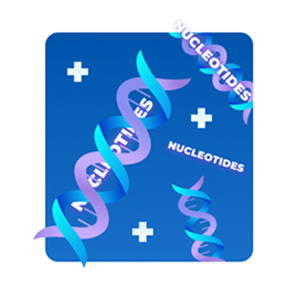 Nucleotides Nucleotides