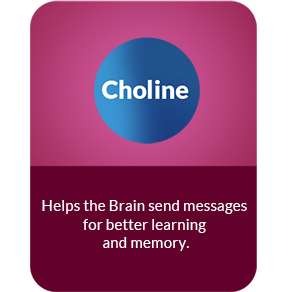 Choline Choline