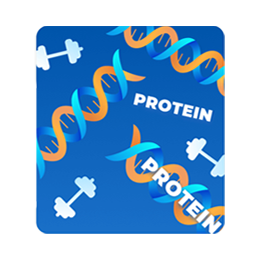 Protein Protein