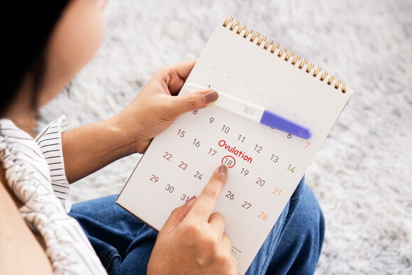 Female hand counts the date on calendar to check her menstrual cycle and ovulation whil another hand holds pregnancy test.