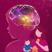 Gifted Brain Discoveries